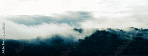 morning summer of nature mountain landscape in happy lifestyle of freedom and relax with cloud fog on sky, adventure travel journey vacation with sunrise or sunset over beautiful mist forest