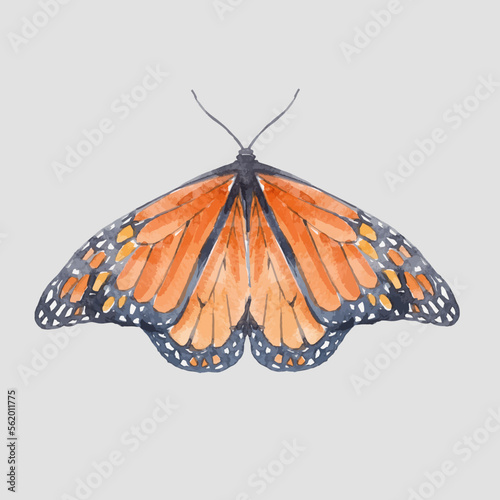 Beautiful vector clip art image with cute watercolor butterflies. Stock illustration.