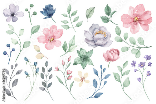 Pink flowers, green leaves watercolor hand painting. Spring illustration.