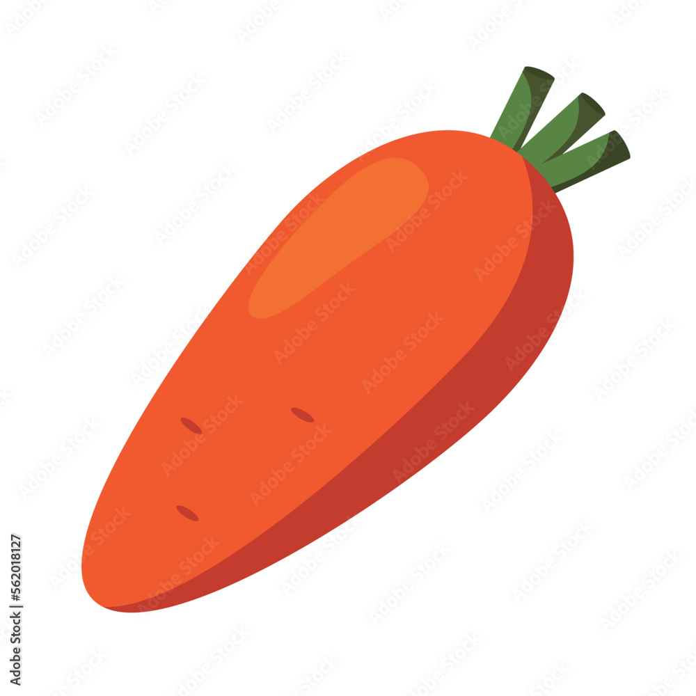 Vector illustration of a carrot on a white background. Vector illustration of a carrot on a white background.