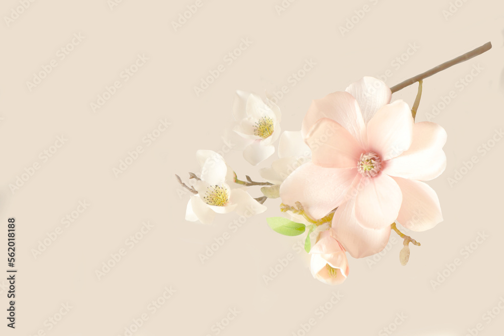 background background
