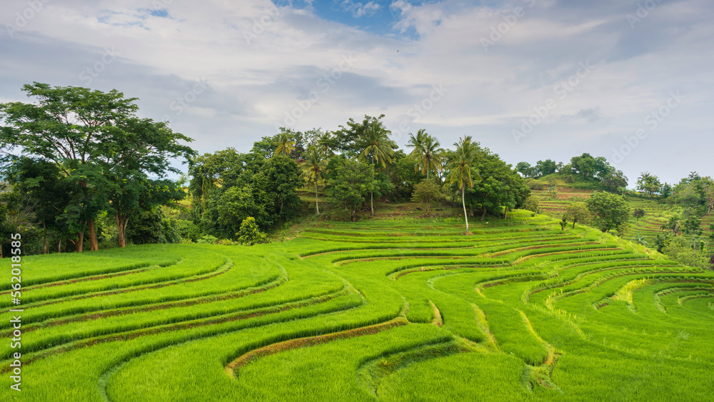 time lapse cloudy over the terraced rice fields in the morning time lapse cloudy over the terraced rice fields in the morning