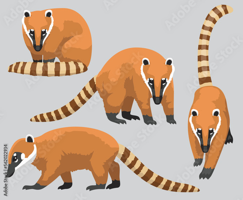 Quadro em tela South American Coati Cartoon Poses Vector Illustration