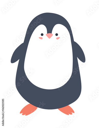 Portrait of penguin animal, flightless seabird