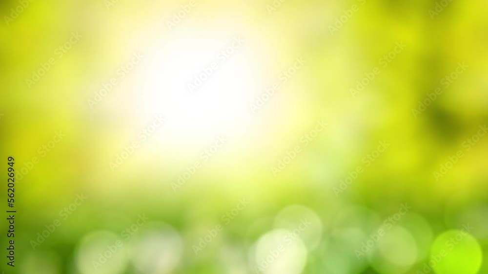 Flying Dragon Fruit and Pitahaya slices in Green Garden Orchard Shiny Background
