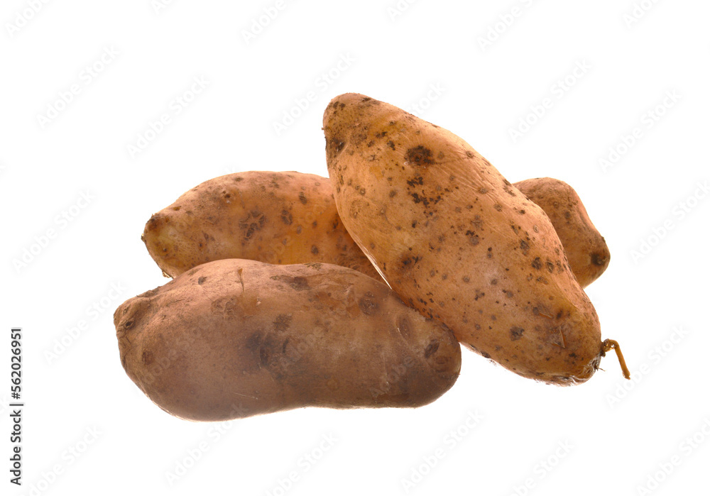 potato isolated on white background potato isolated on white background