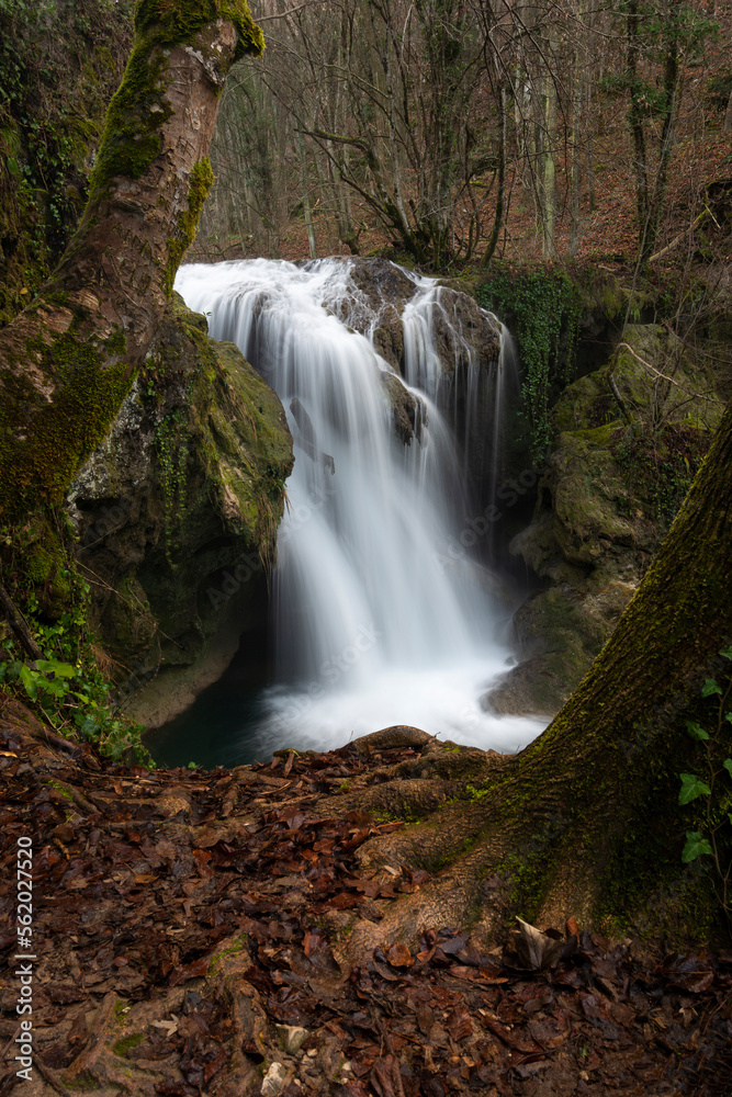 Obraz premium Waterfall in the winter, La Vaioaga