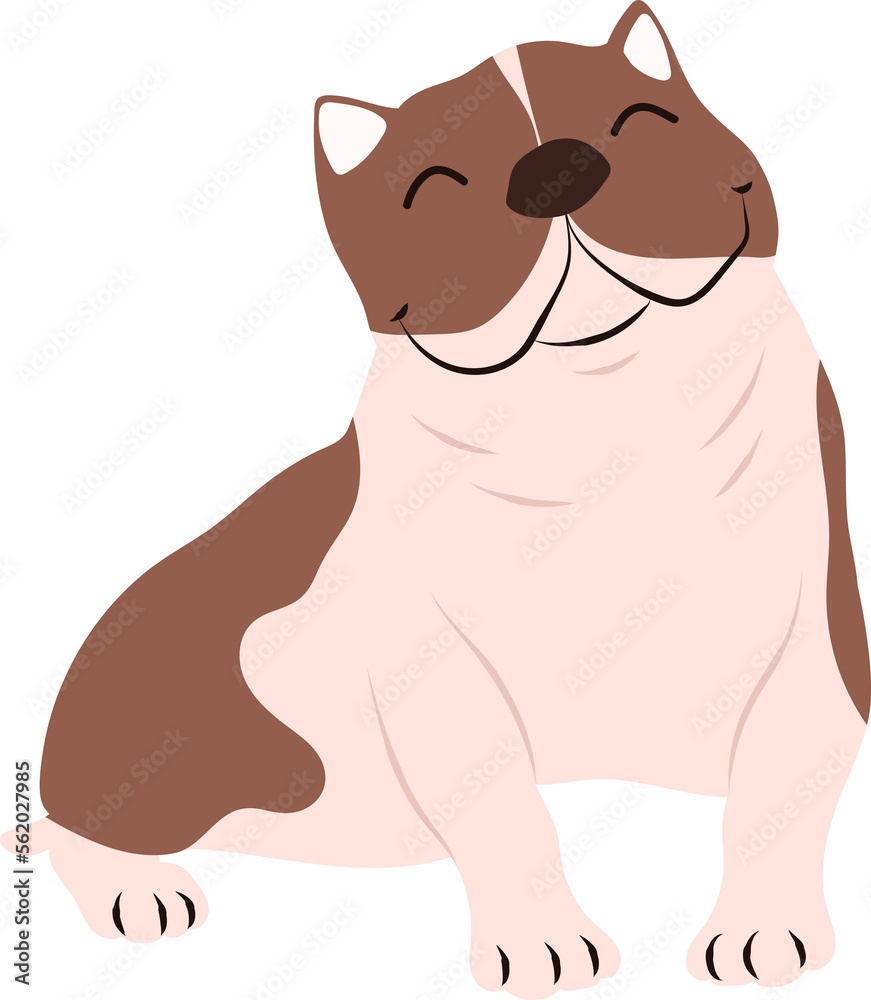 Cute dog Cute dog