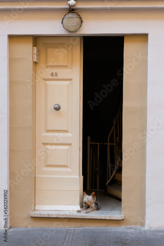 A vicious guard dog on duty - Valletta  Malta