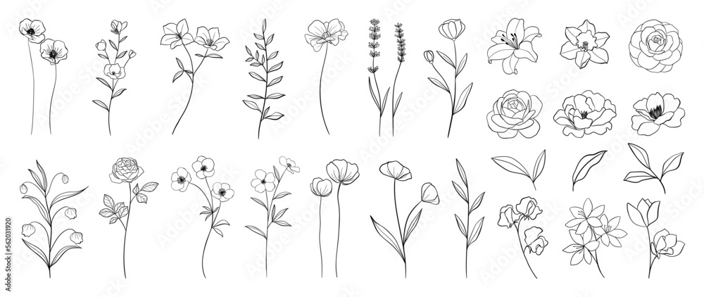 Fototapeta premium Set of hand drawn botanical flowers line art vector. Collection of black white contour drawing of rose, lily, wildflowers, leaf. Design illustration for print, logo, cosmetic, poster, card, branding.