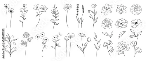 Set of hand drawn botanical flowers line art vector. Collection of black white contour drawing of rose, lily, wildflowers, leaf. Design illustration for print, logo, cosmetic, poster, card, branding.