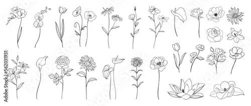 Set of hand drawn botanical flowers line art vector. Collection of black white contour drawing of rose, lily, orchid flowers. Design illustration for print, logo, cosmetic, poster, card, branding.