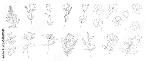 Set of hand drawn botanical flowers line art vector. Collection of black white drawing contour simple rose, lily flowers, clover. Design illustration for print, logo, cosmetic, poster, card, branding. © TWINS DESIGN STUDIO