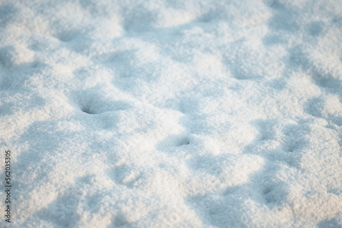 Snow-covered ground during sunny winter days. Empty snow background.