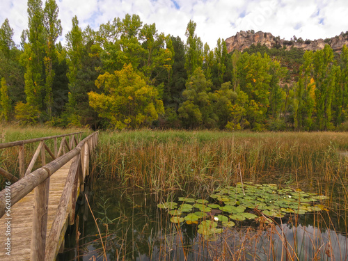 natural mountain landscape, in Uña, Cuenca, Spain, with forest and a lake with aquatic vegetation, water lilies, and a bridge that crosses into the forest
