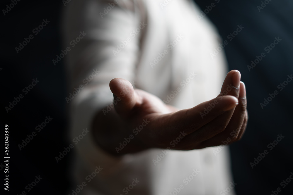 Obraz premium Hand gestures requesting or presenting