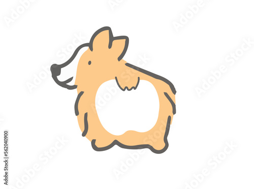 後ろから見たコーギーイラスト