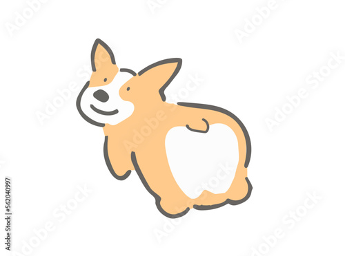振り返るコーギーのイラスト