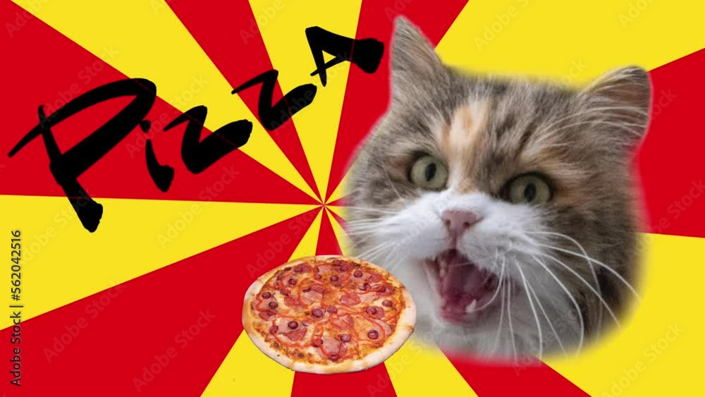 trendy funny animation of a cat eating pizza