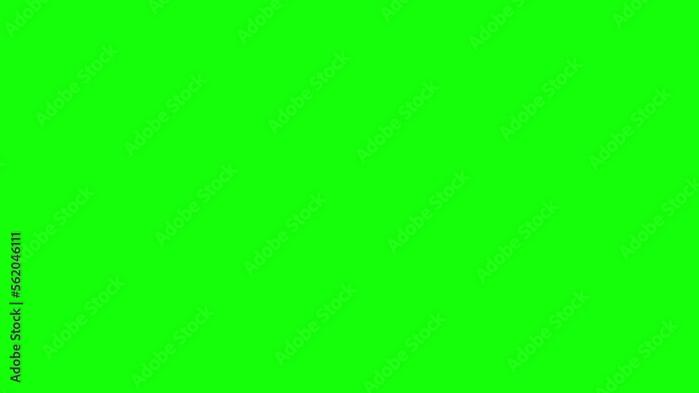 Black Cat runs back and forth chroma key 4K Black Cat runs back and forth chroma key 4K