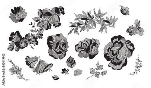 set lace flower, bouquet, vector illustration