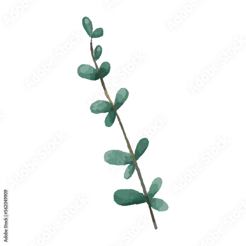 cute vector botanical branch, leaf, hand painted illustration