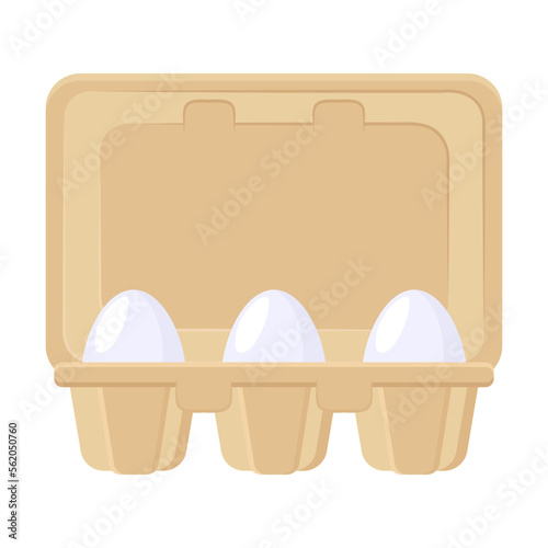 Eggs in box vector illustration. Fresh chicken eggs in open cardboard containers isolated on white background. Farming, food concept