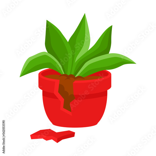 Flower in red broken pot vector illustration. Fallen down houseplant, flowerpot on floor isolated on white background. Gardening, plants concept