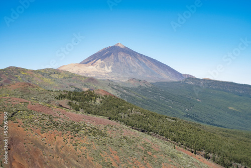 landscape, horizontal, views of Teide volcano, cloudless morning, blue sky, sunny. Tenerife, canary islands, spain