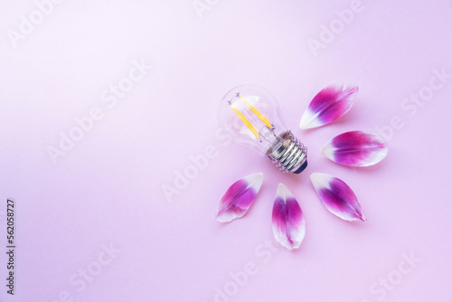 Glühbirne mit Blüten auf lila Hintergrund