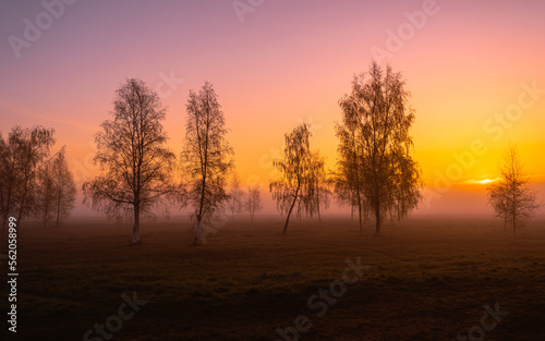 orange sunrise in the fog and trees © emartme
