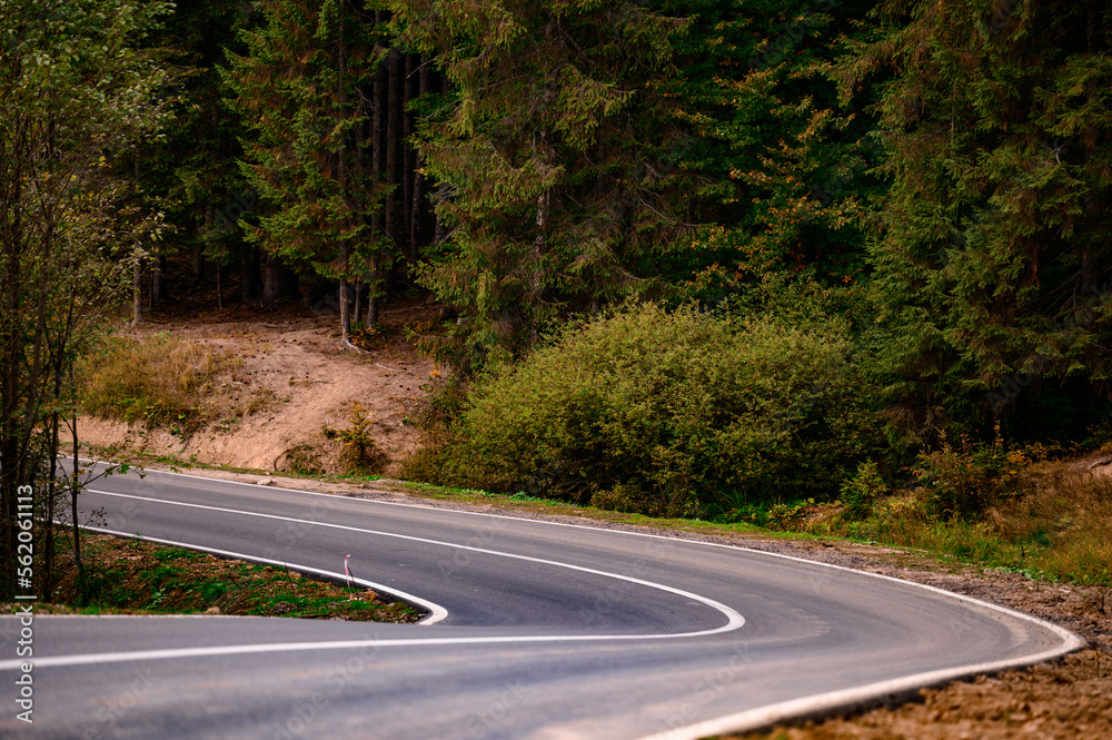Fototapeta premium Beautiful mountain curved road in the forest, Landscape with an empty asphalt road through the forest.