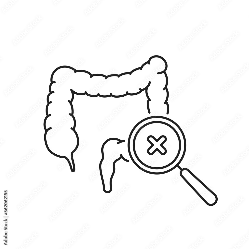 Fototapeta premium search medical problem in human intestinal tract icon