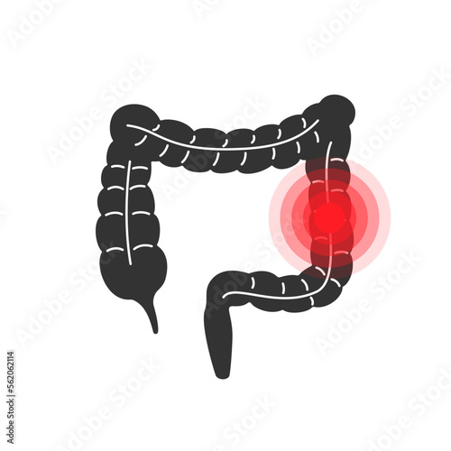intestinal pain or irritable bowel syndrome black icon