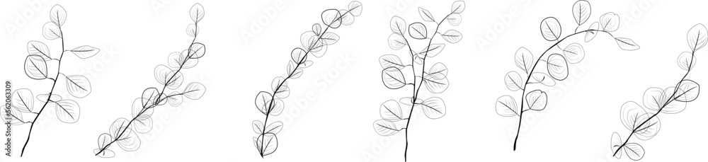 Eucalyptus branches collection.Set of differents black eucalyptus branches. Natural leaves and branches designer art tropical elements set. Hand drawn,one line eucalyptus leaves and branches. Eucalyptus branches collection.Set of differents black eucalyptus branches. Natural leaves and branches designer art tropical elements set. Hand drawn,one line eucalyptus leaves and branches.