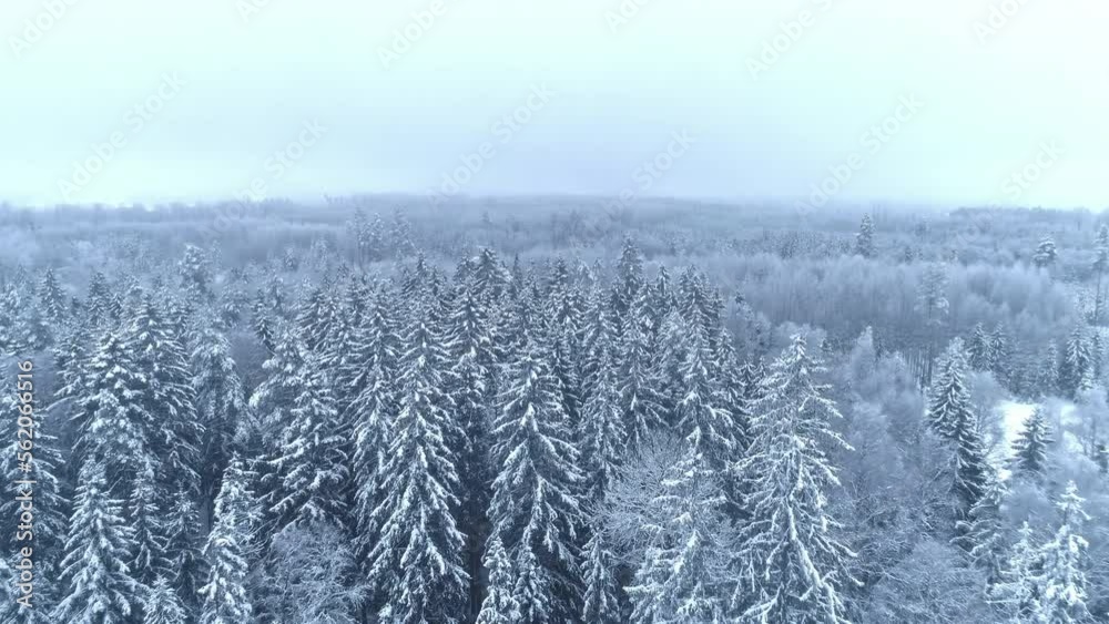 Amazing aerial shot of a winter landscape in a dense natural forest full of snow on a grey day Amazing aerial shot of a winter landscape in a dense natural forest full of snow on a grey day