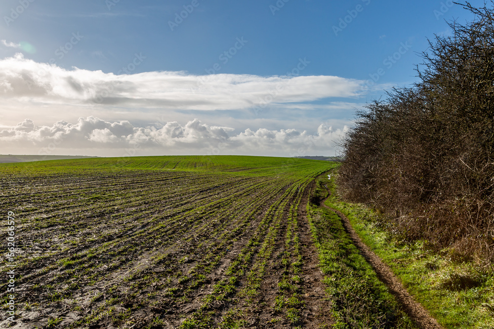 A muddy agricultural field in the South Downs during winter