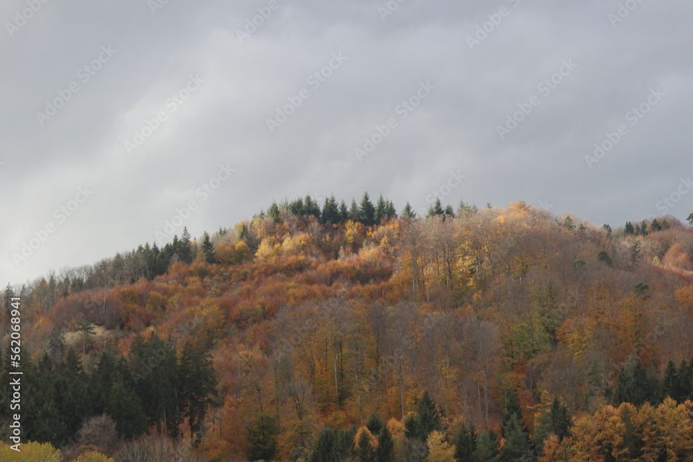 Fototapeta premium Schwabenland