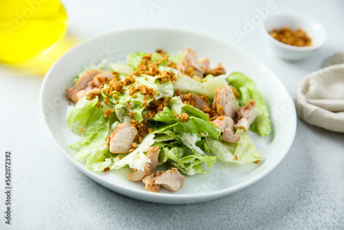 Homemade chicken salad with crunchy onion