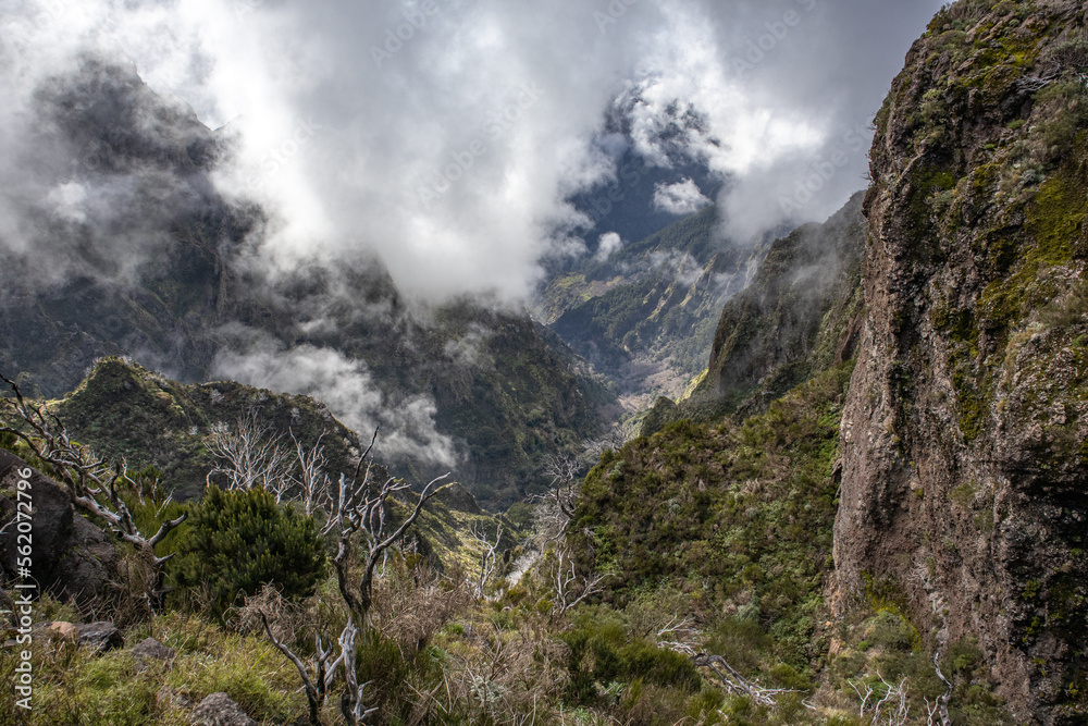 Madeira