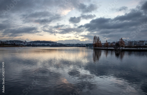 Beautiful landscape of the Phoenix lake in the city Dortmund Germany  © Kateryna