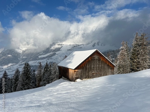Indigenous alpine huts and wooden cattle stables in the Swiss Alps covered with fresh first snow over the Lake Walen or Lake Walenstadt (Walensee), Amden - Canton of St. Gallen, Switzerland (Schweiz)