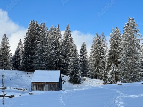 Indigenous alpine huts and wooden cattle stables in the Swiss Alps covered with fresh first snow over the Lake Walen or Lake Walenstadt (Walensee), Amden - Canton of St. Gallen, Switzerland (Schweiz) © Mario