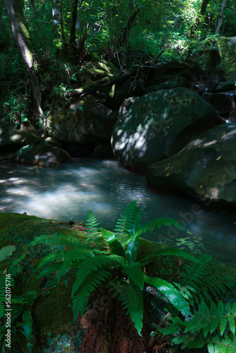 waterfall in the forest