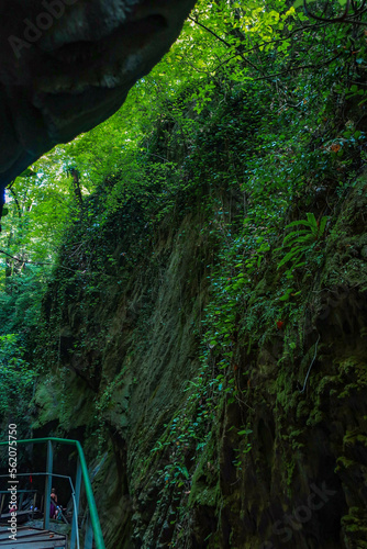 waterfall in the forest