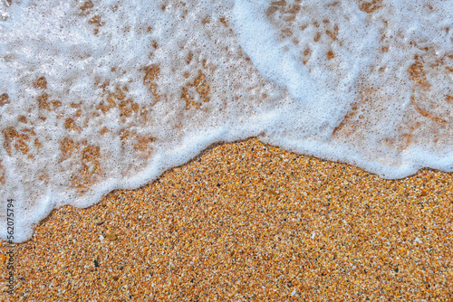 sand and shells