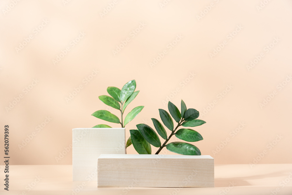 Wooden cube podium with green leaves on light beige background. Minimal wooden stand for branding and packaging presentation Wooden cube podium with green leaves on light beige background. Minimal wooden stand for branding and packaging presentation