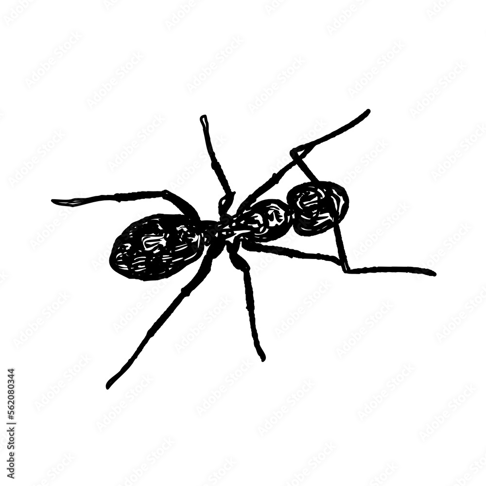 Fototapeta premium black and white sketch of an ant with a transparent background