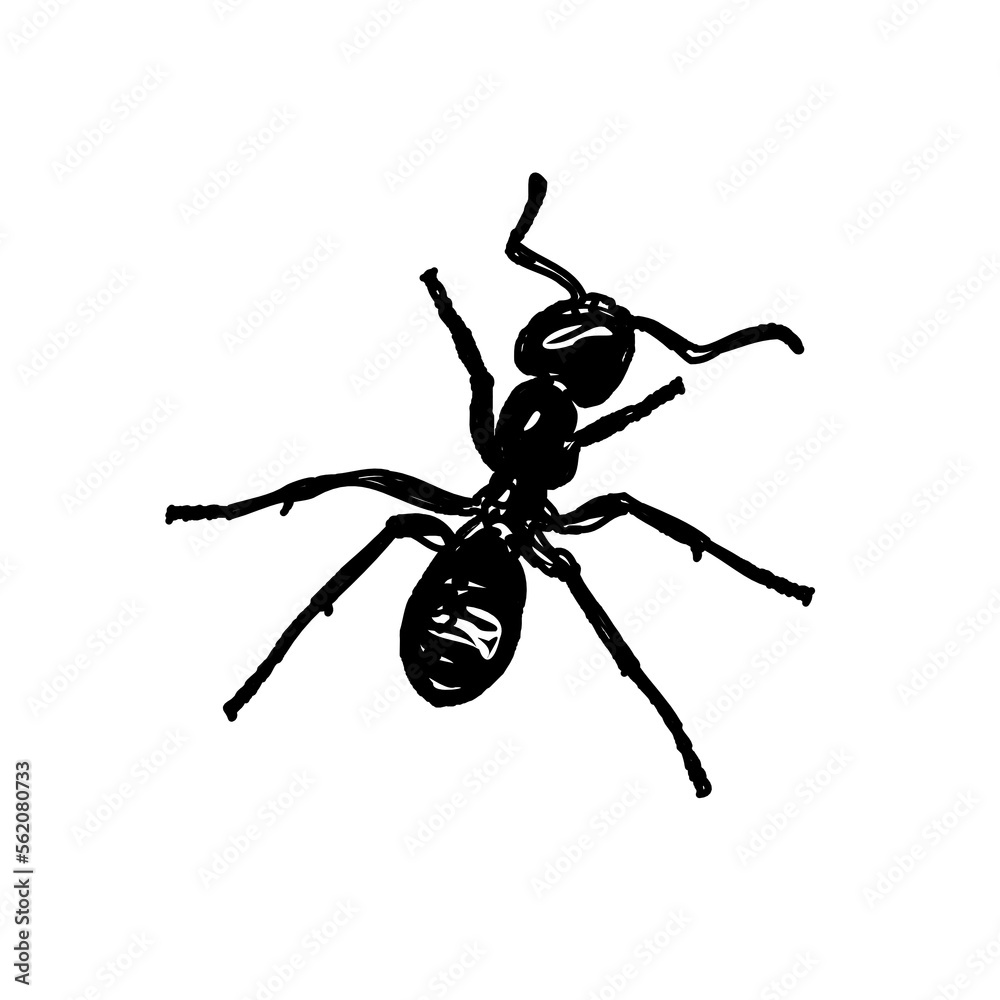 Fototapeta premium black and white sketch of an ant with a transparent background