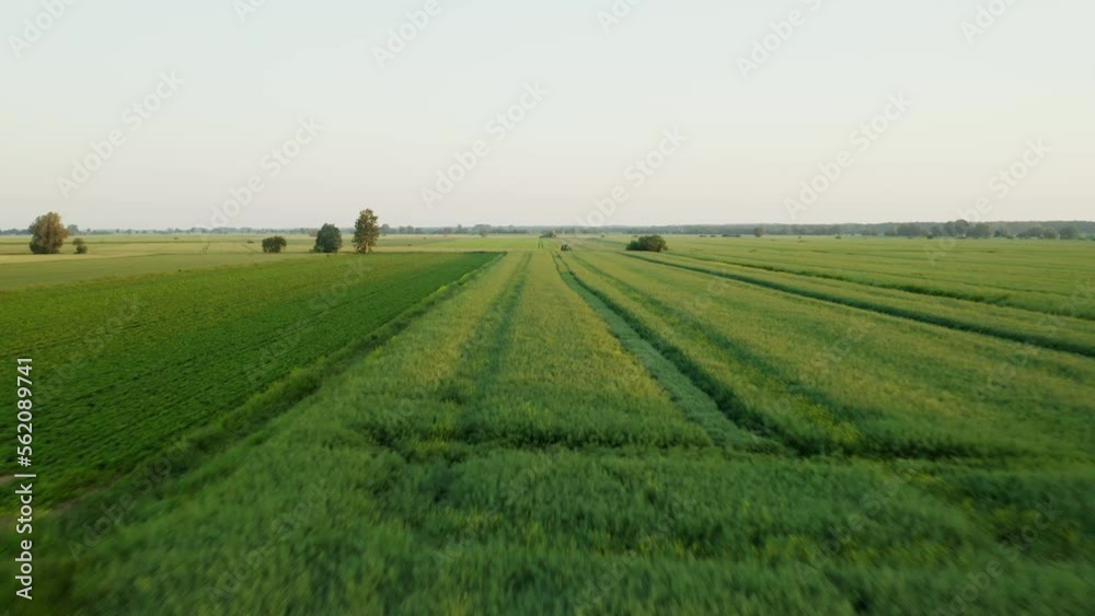 Drone Dolly into Farm land field - Aerial Shot Drone Dolly into Farm land field - Aerial Shot